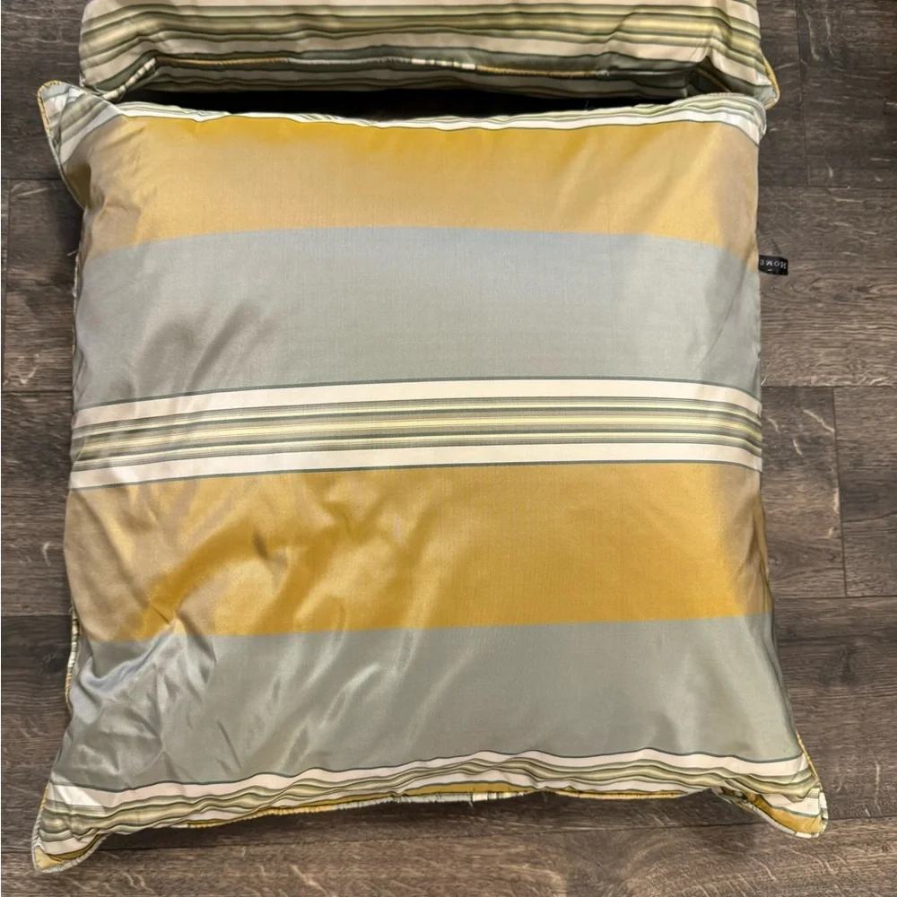 Set of 2 Rodeo Home Feather and Down Throw Pillows‎